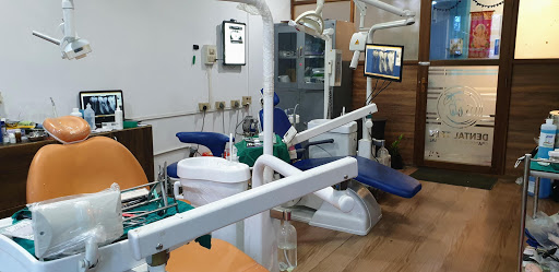 Dental Tree Braces And Dental Care Dental Tree Braces And Dental Care